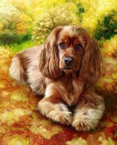 Brown Dog Paint By Numbers