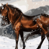 Brown Horse Paint by numbers