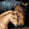 Brown Horse and Foal Paint By Numbers