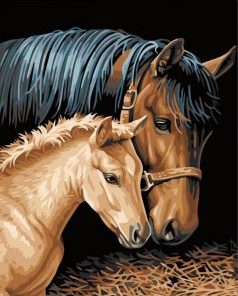 Brown Horse and Foal Paint By Numbers