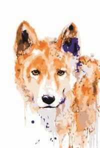 Brown Wolf Paint By Numbers