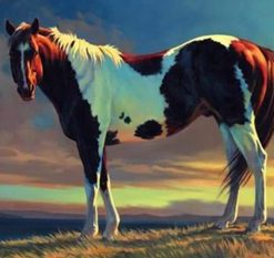 Brown and White Horse Paint By Numbers