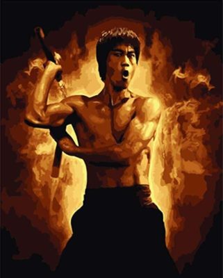 Bruce Lee Paint By Numbers