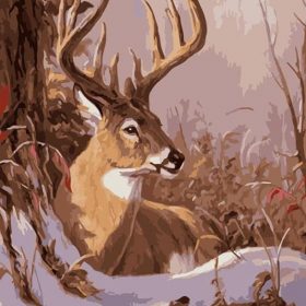Buck in the Snow Paint By Numbers