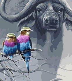 Buffalo And Birds Paint By Numbers