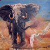 Bull Elephant Paint by numbers