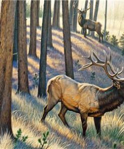 Bull Elk Paint By Numbers