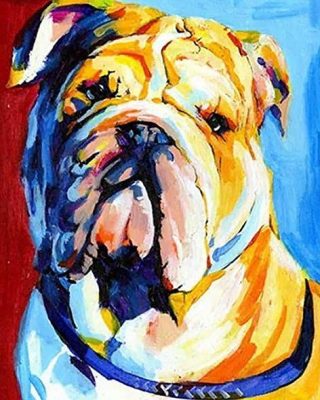 Bulldog Paint By Numbers