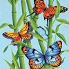 Butterflies Plants Paint By Numbers