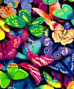 Butterflies and Colors Paint By Numbers
