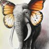 Butterfly Elephant Paint By Numbers