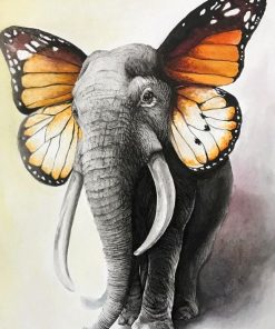 Butterfly Elephant Paint By Numbers