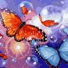 Butterfly in Bubbles Paint By Numbers