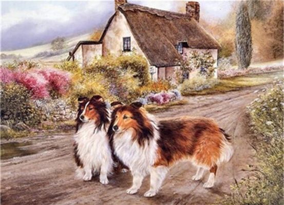 Cabin Dogs Paint By Numbers