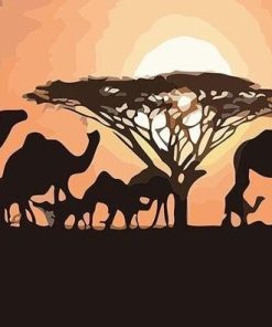 Camels Sunset Paint By Numbers