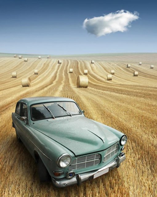 Car in Field Paint By Numbers