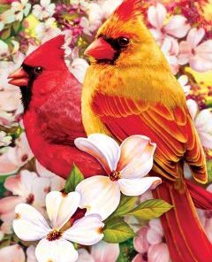 Cardinal Birds Paint By Numbers