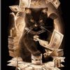 Cat And Money Paint By Numbers