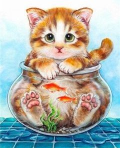 Cat In Fish Bowl Paint By Numbers