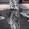 Cat Mirror Tiger Paint By Numbers