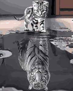 Cat Mirror Tiger Paint By Numbers