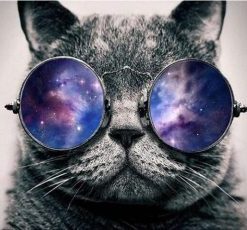 Cat With Galaxy Glasses Paint By Numbers