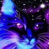 Cat in Night Sky Paint By Numbers