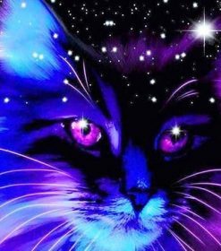 Cat in Night Sky Paint By Numbers