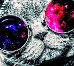 Cat with Space Sunglasses Paint By Numbers