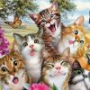 Cats With Butterflies Paint By Numbers