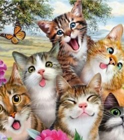 Cats With Butterflies Paint By Numbers