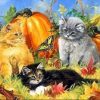 Cats with Pumpkin Paint By Numbers