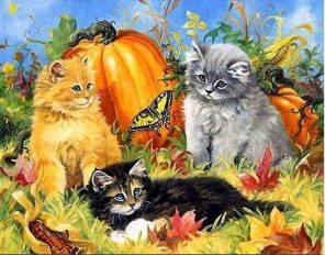 Cats with Pumpkin Paint By Numbers