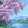 Cherry Blossom River Paint By Numbers