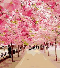 Cherry Blossom Trees Paint By Numbers
