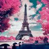 Cherry Blossoms in Paris Paint By Numbers