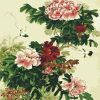 Chinese Peony Flowers Paint By Numbers