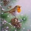 Christmas Bird In Snow Paint By Numbers