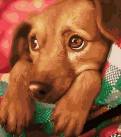 Christmas Dog Paint By Numbers