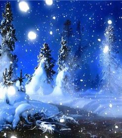 Christmas Snowy Night Paint By Numbers