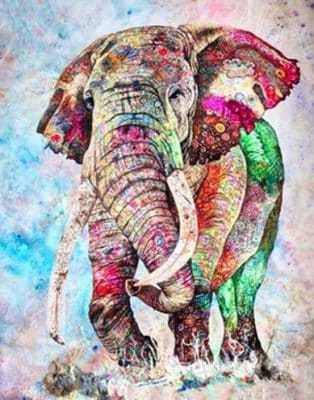 Colored Splash Elephant Paint By Numbers