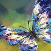 Colorful Butterfly Paint By Numbers