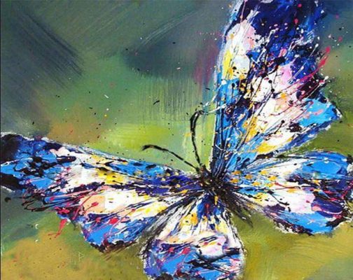 Colorful Butterfly Paint By Numbers