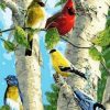 Colorful Cardinals Paint By Numbers