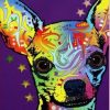 Colorful Chihuahua Paint By Numbers