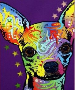 Colorful Chihuahua Paint By Numbers