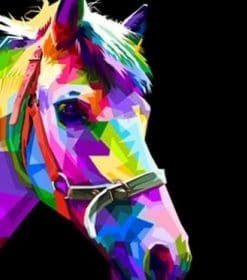 Colorful Horse Head Paint By Numbers