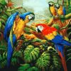 Colorful Parrots Birds Paint By Numbers