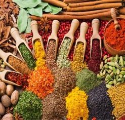 Colorful Spices Paint By Numbers