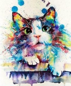 Colorful Splash Cat Paint By Numbers